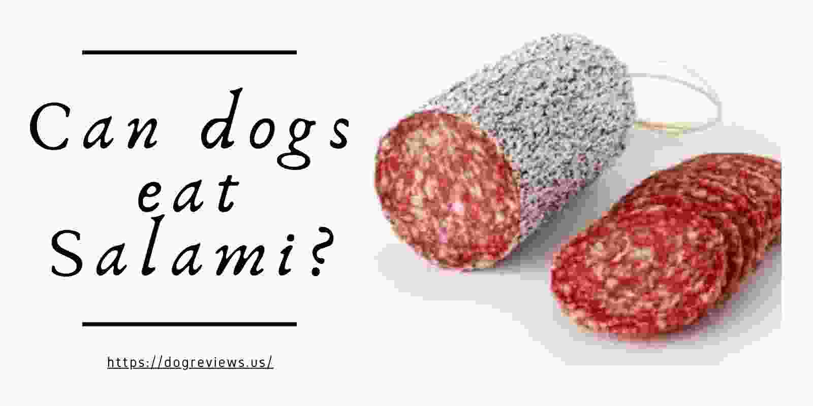 Can dogs eat Salami