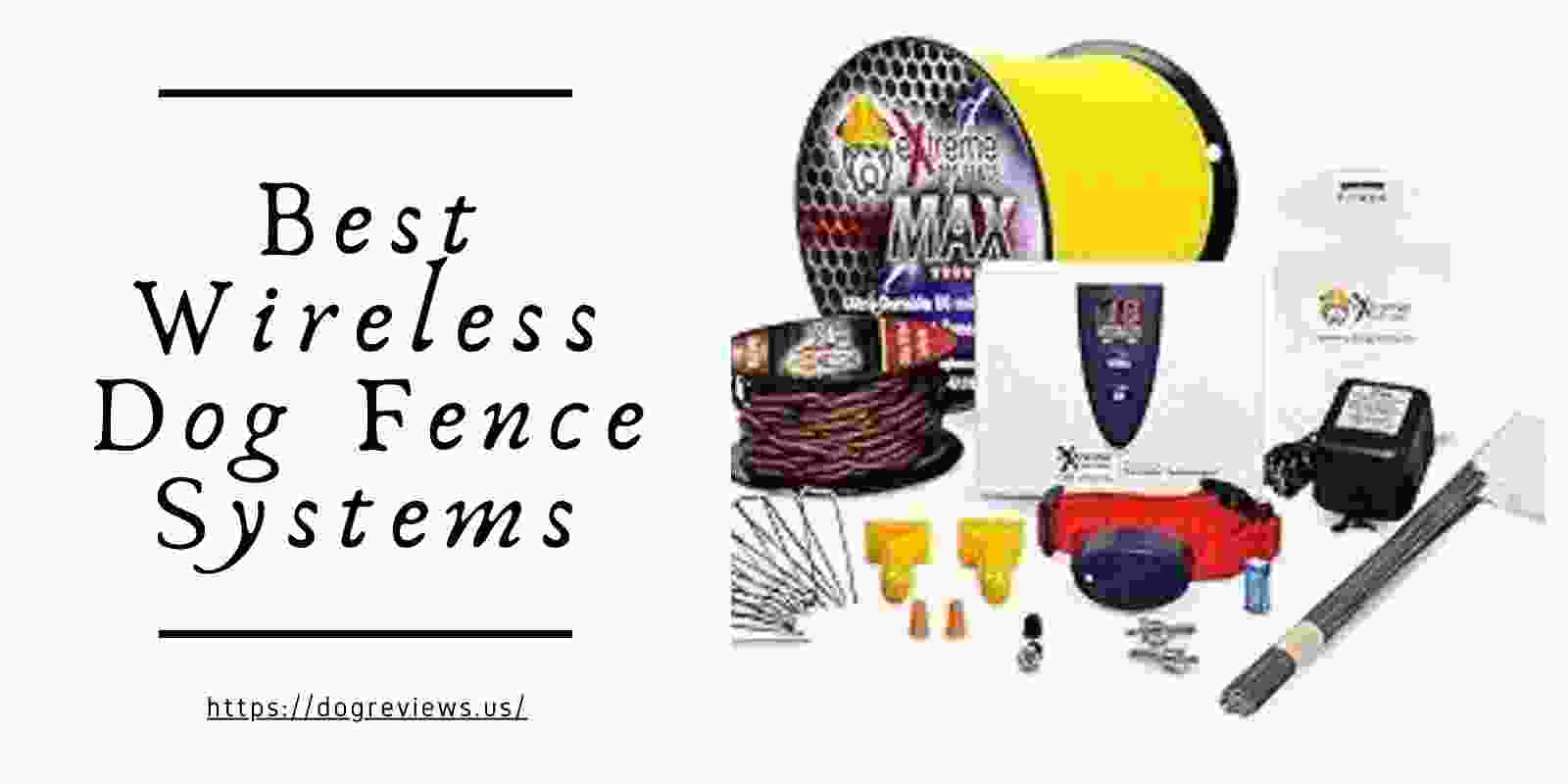 Best wireless dog fence systems